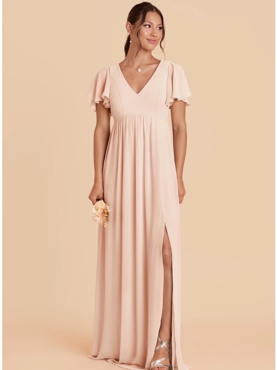 Birdy Grey Dresses & Skirts - Birdy Grey Pale Blush Hannah Chiffon Dress